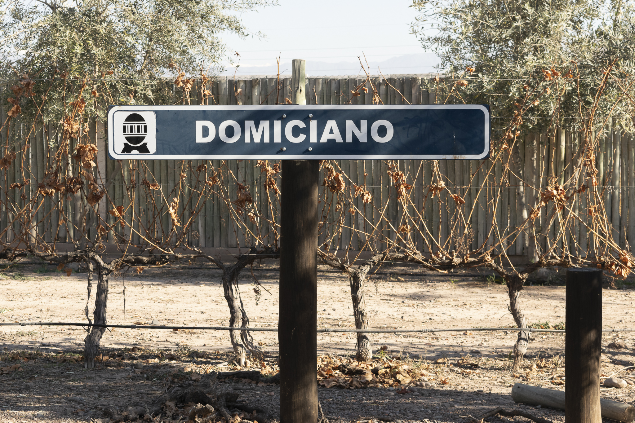 Cartel de entrada a Bodega Domiciano, parada infaltable para saber qué hacer en Maipú